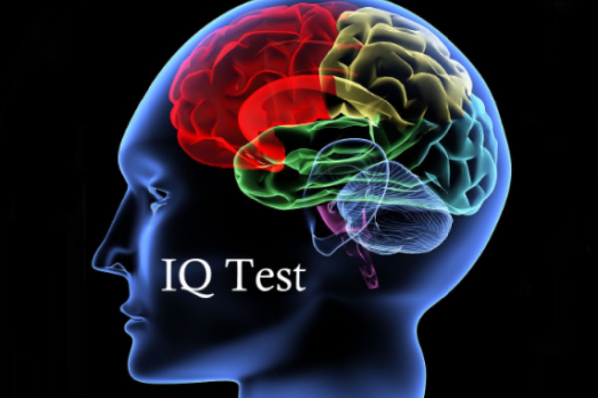 Online Free IQ Test
