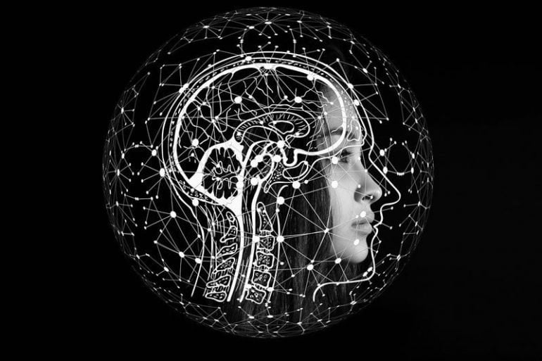 The Neuroscience Of Human Intelligence Differences