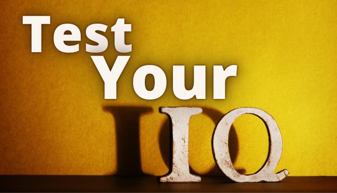 Official IQ Test