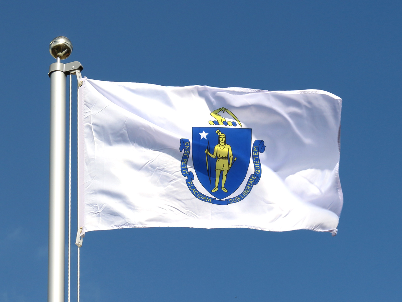 What Is The Average IQ In Massachusetts
