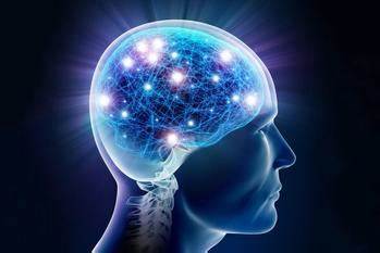 Multiple Intelligence Test